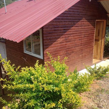 Mario'S Lodge Providencia Copey 외부 사진