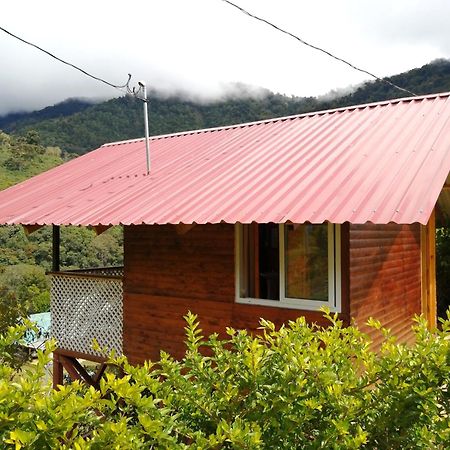 Mario'S Lodge Providencia Copey 외부 사진