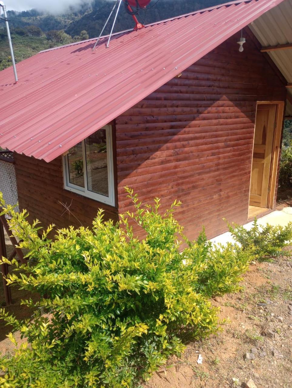 Mario'S Lodge Providencia Copey 외부 사진
